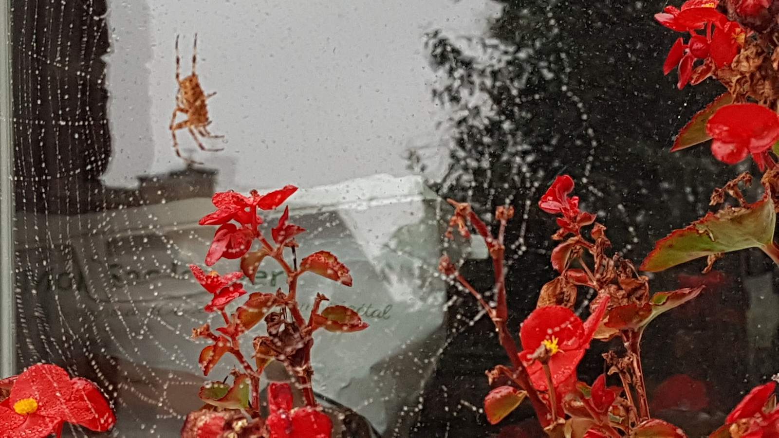 featuring marie-agnès l.